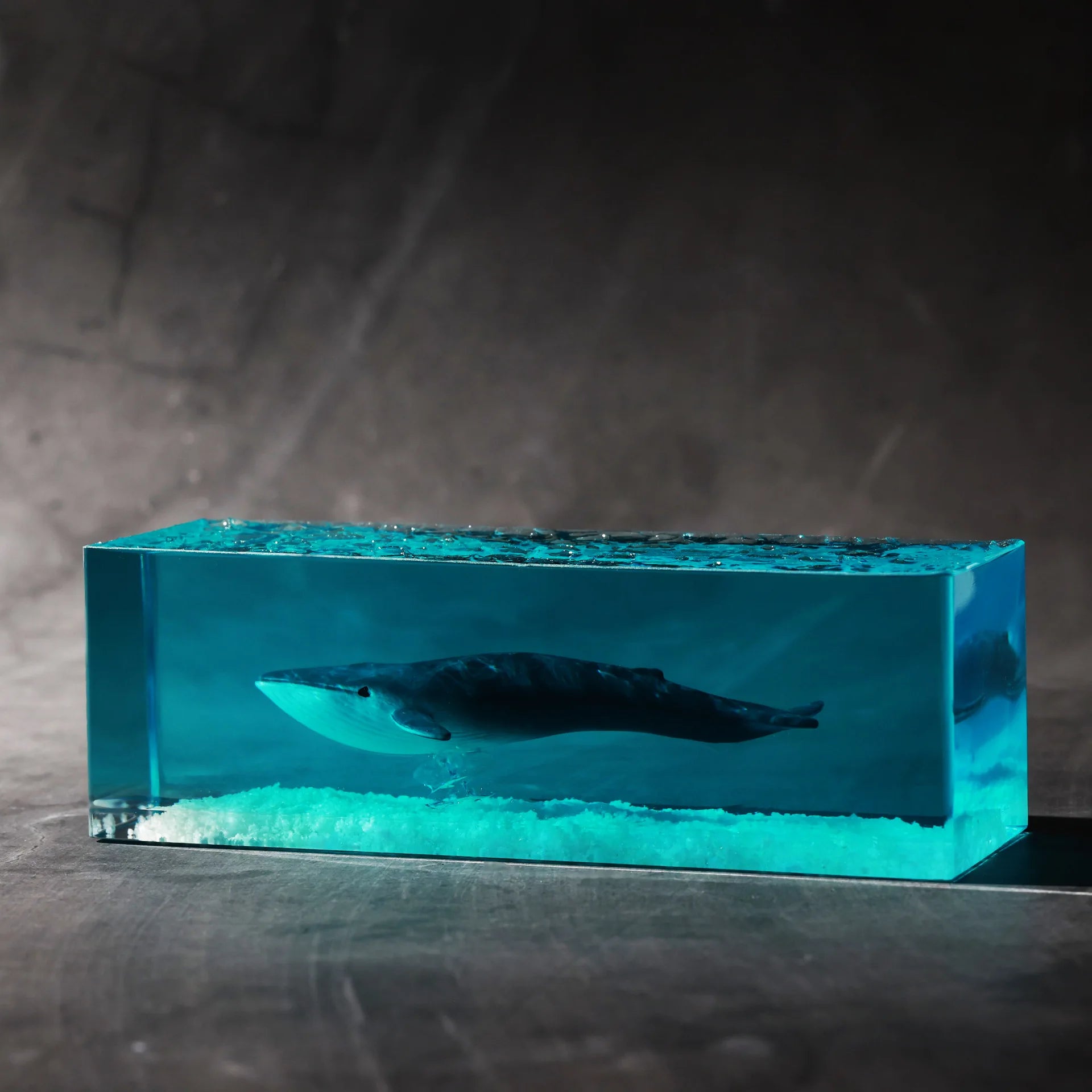 NEW High-End Atmosphere Marine Resin Whale Luminous Solid Wood Creative Handicrafts Ornaments Home Decorations Birthday Gifts