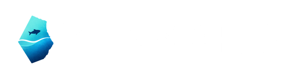 Zynkaro