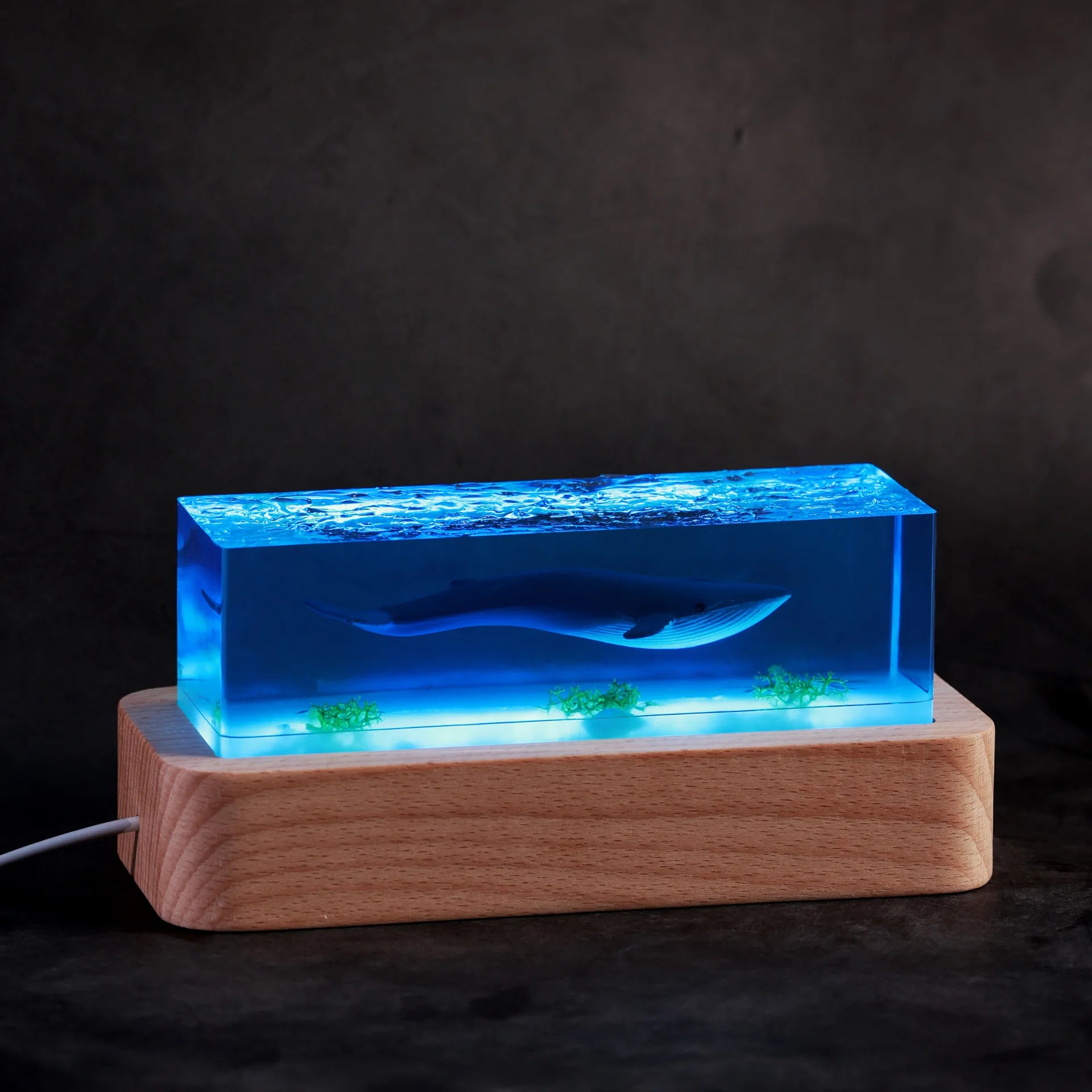 NEW High-End Atmosphere Marine Resin Whale Luminous Solid Wood Creative Handicrafts Ornaments Home Decorations Birthday Gifts